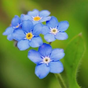 Meet your Posher, Claire